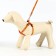 Set "Dogs", leash 120 x 1 cm, og 23-35 cm, orange