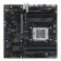 The ASUS TUF Gaming A620M-Plus WiFi Socketam5 AMD A620 4XDDR5 MATX AC`97 8ch (106498