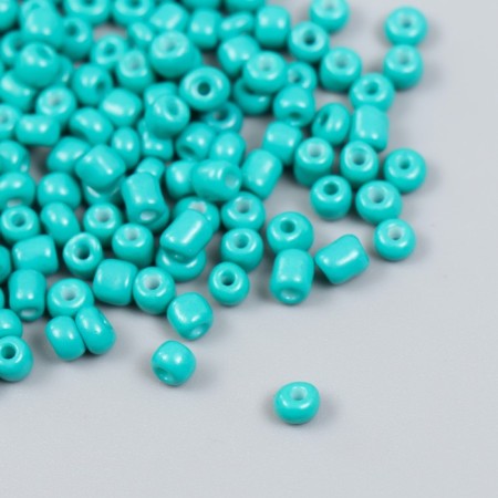 6/0 round beads in the bottle "coniferous-green" 20 g-1