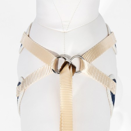 A set with a soft harness "anchor", size m, leash, 120 x 1.5 cm, og 34-66 cm, blue-5