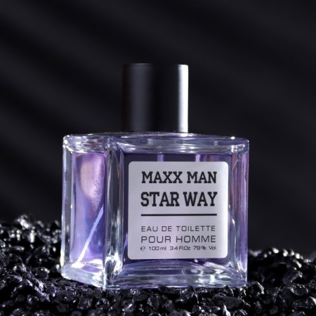 Male Water Male Maxx Man Starwa, 100 ml (based on EgoSte Platinum (Chanel)-1