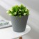 Kashpo for flowers with an insert "Louis", 2.7 l, color gray color