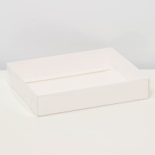 Box a team with a transparent lid 16 x 13 x 3 cm, white