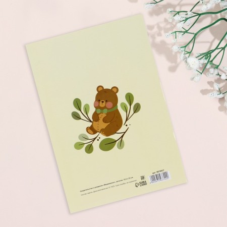 Folder for the birth certificate "Bear" branches, a5-1