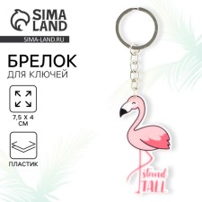 Key keychain 