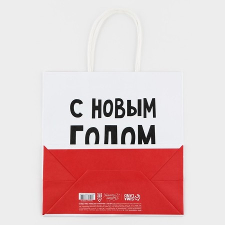Gift package "Happy New Year, Pupsik", 22 x 22 x 11 cm, new year-7