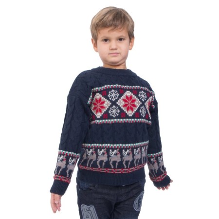Jumper for boys, size 40, blue color