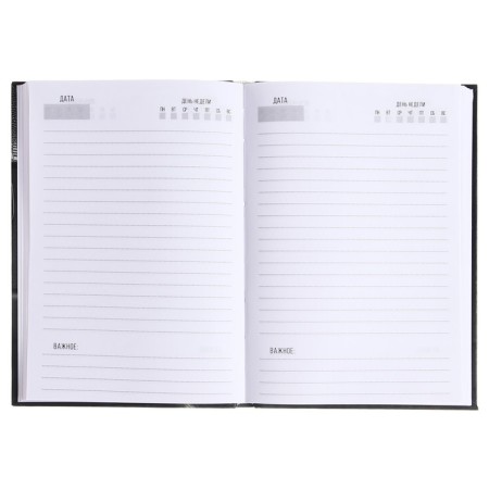 The diary of a low -up A5 136 sheets, integral cover, matte lamination "Male Premium"-2