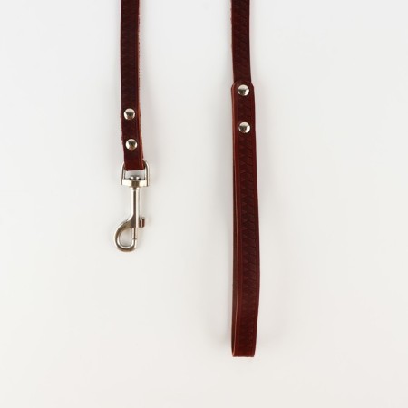 Set of collar (40-54x2.5 cm) and leash (130x1.2 cm) reptiles, brown-2