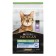 PROSICE PRO PRO PLAN Dry Feed for sterilized cats over 7 years old, turkey, 10 kg