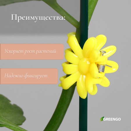Clips for plants "Flower", set of 10 pcs., Mix-2