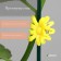 Clips for plants "Flower", set of 10 pcs., Mix