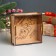 New Year's piggy bank with acrylic "Snake. New Year" 12x12x4 cm