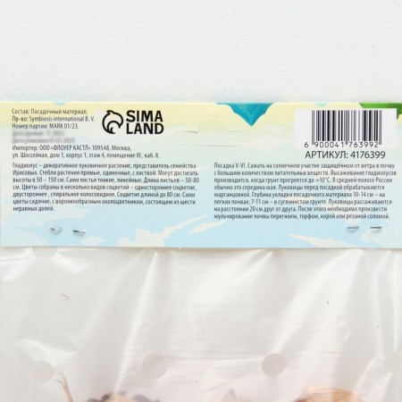 Gladiolus corrugated "Friszl hut", rr 8/10, 7 pcs,-2