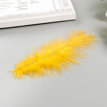 Decorative ostrich feathers, 10-12 cm (set 24 pcs) 6 colors, bright, assorted-2