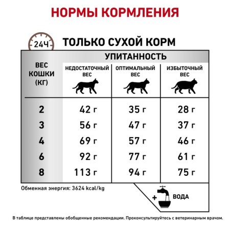 Dry food RC GastroinTestinal Hairball Control for Cats, 2 kg-5