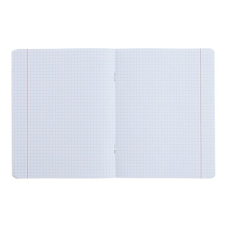 A notebook “Photosphere”, 40 sheets in a cage, “History”, Cover Cover Cardboard, VD-LIK-2