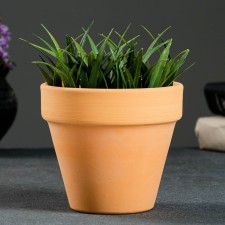 Flower pot 