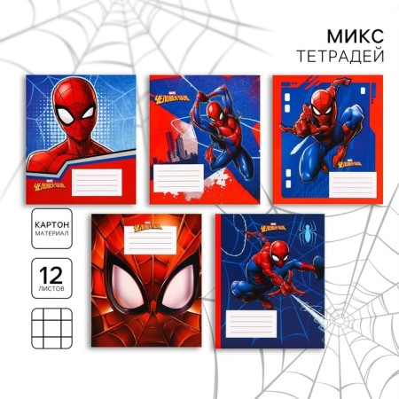 Notebook in a cage 12 sheets, 5 types of mix, cover coated cardboard, spider-man