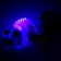 Developing toy "Sport" Light, species mix