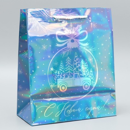 Holographic package "Morozko", ml 23 x 27 x 11.5 cm, new year-2