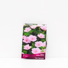 Blood-red geranium 