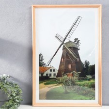Photo frame tree C20 40x60 cm, unpainted