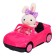 Set with a pet "animals. Automobile"