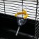 Cell for rodents "Pijon", 47 x 30 x 30 cm, black