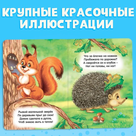 Cardboard book "Fluffy Riddles", 10 p.-3