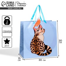 Gift package, packaging, 