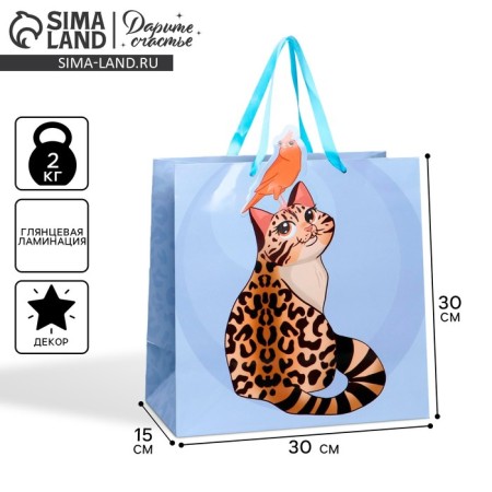 Gift package, packaging, "cat", 30 x 30 x 15 cm
