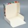 Box for confectionery "New Year's botanist", 17 x 20 x 6 cm, New Year