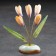 Flowers "snowdrops", 5 flowers, selenite