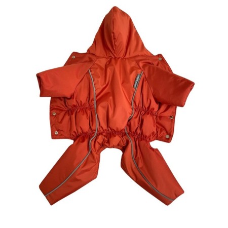 Combinasone for dogs (bitch), insulated, p. 25 (DS 25 cm, Osh 25 cm, OG 31-37 cm), Carrot 102683-1