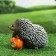 Garden figure "Hedgehog with apple" 18x14x14cm