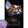 Diamond mosaic with a partial filling on the canvas "Cat View", 20 x 30 cm