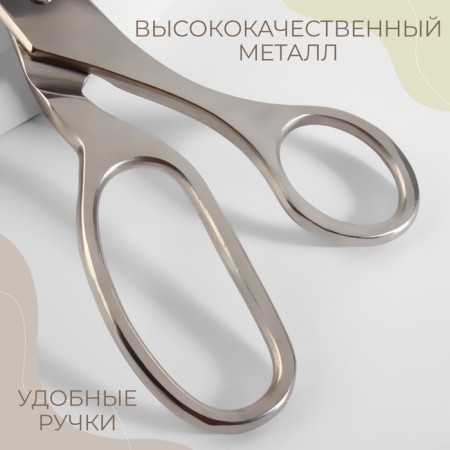 Portnovsky scissors, 9.8 ", 25 cm, silver color-2