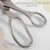 Portnovsky scissors, 9.8 ", 25 cm, silver color