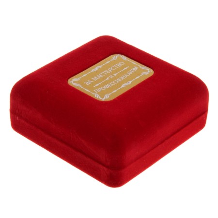 Medal in the velvet box "For skill and professionalism", D = 6.5 cm.-4