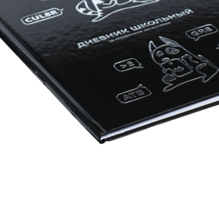 Universal Diary Grade 1-11, 48 sheets "Communication", hard cover, glossy lamination, universal cheat sheet, block 65 g/m2-2