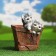 Figure Kashpo "Box with kittens" 16x18x20cm