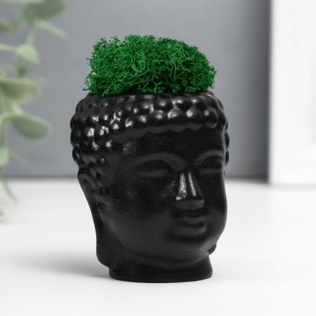 Concrete Kashpo "Buddha" with moss 7*6 cm black (moss green stabilized)-1