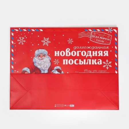 Laminated horizontal “NG Parcon”, XXL 46 x 61 x 20 cm, New Year-6