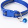 The collar is two -layer with fastx and a reflective strip, 30 x1.5 cm, blue