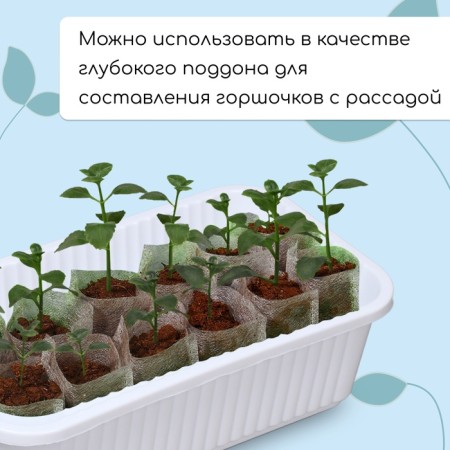 Box for seedlings, 28.5 × 15.5 × 8.5 cm, 2.5 l, white, Greengo-3