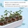 Box for seedlings, 28.5 × 15.5 × 8.5 cm, 2.5 l, white, Greengo