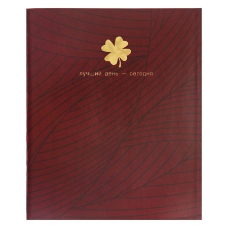 Notebook of 48 sheets in the Four-leafer cage, cover coated cardboard, VD-LK, OFSET block, 4V MIX-2