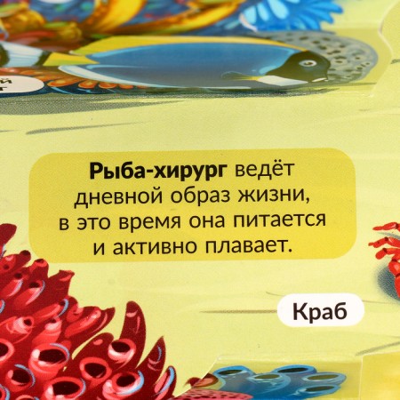 3D Encyclopedia Panoramka "Sea"-4