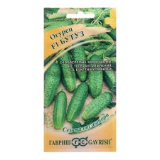 Cucumber seeds 